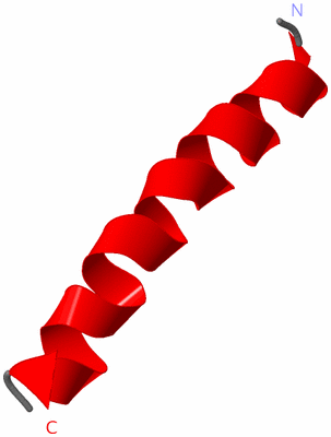 Image NMR Structure - model 1