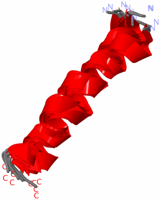 Image NMR Structure - all models