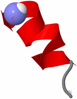 Image NMR Structure - model 1