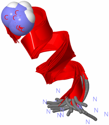 Image NMR Structure - all models