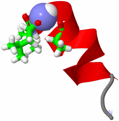 Image NMR Structure - model 1, sites
