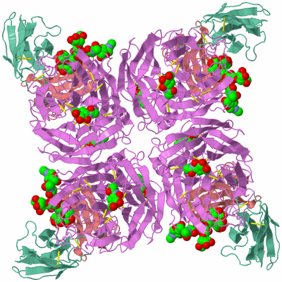 Image Biological Unit 1