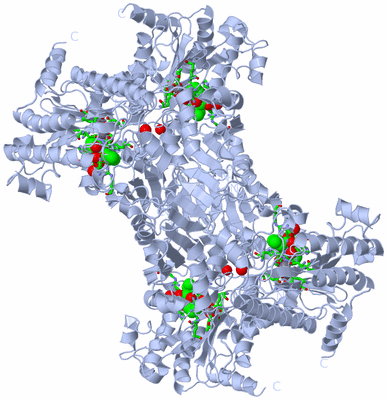 Image Biol. Unit 1 - sites