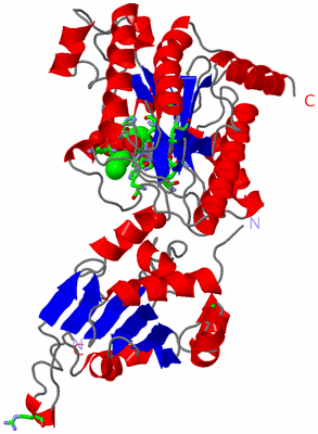 Image Asym. Unit - sites