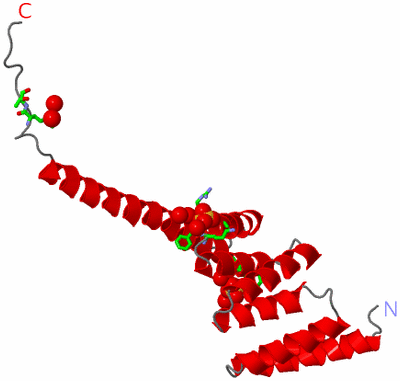 Image Asym. Unit - sites