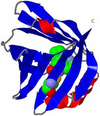 Image Asymmetric Unit