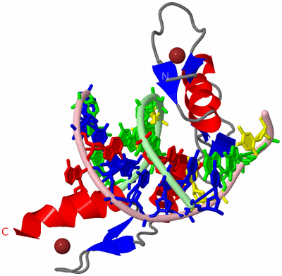 Image Asym./Biol. Unit