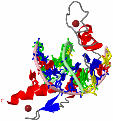 Image Asym./Biol. Unit