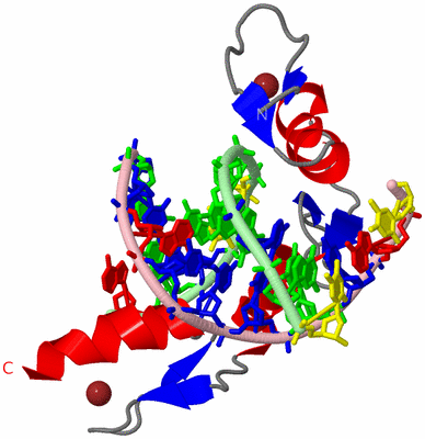 Image Asym./Biol. Unit