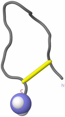 Image NMR Structure - model 1