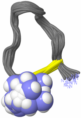 Image NMR Structure - all models