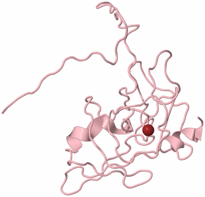 Image Biological Unit 3