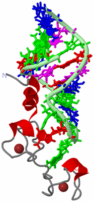 Image NMR Structure - model 1