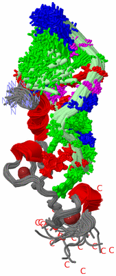 Image NMR Structure - all models