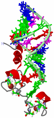 Image NMR Structure - model 1, sites