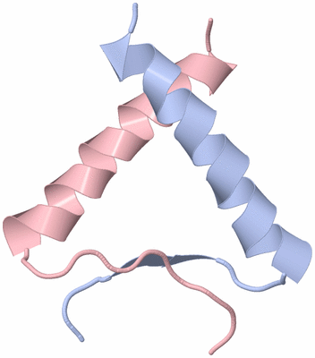 Image NMR Structure - model 1