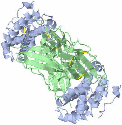 Image Biological Unit 2