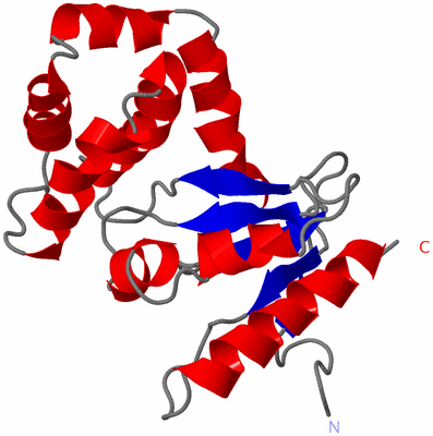 Image NMR Structure - model 1