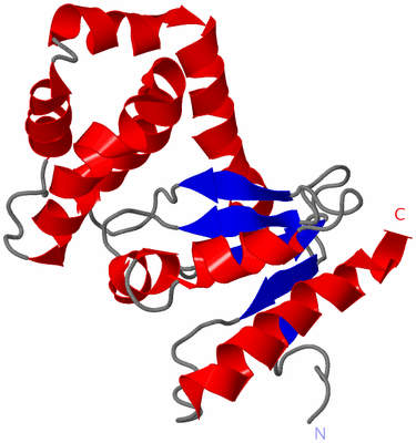 Image NMR Structure - model 1