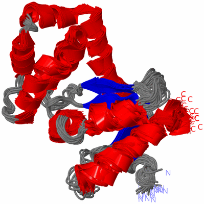 Image NMR Structure - all models