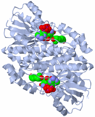 Image Biological Unit 1