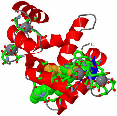 Image Asym./Biol. Unit - sites