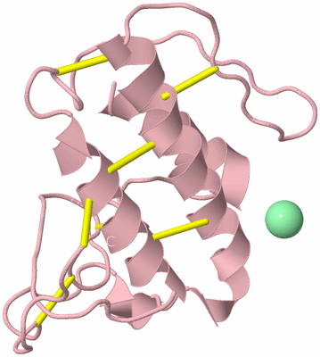 Image Biological Unit 3