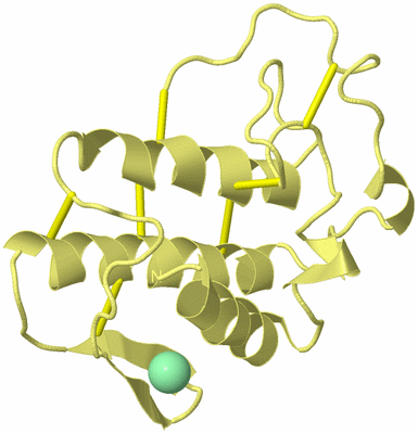 Image Biological Unit 4