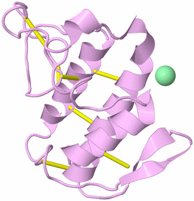 Image Biological Unit 5