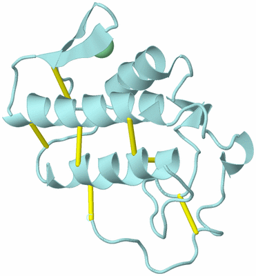 Image Biological Unit 6