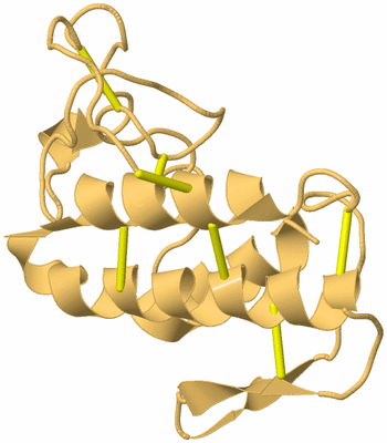 Image Biological Unit 7