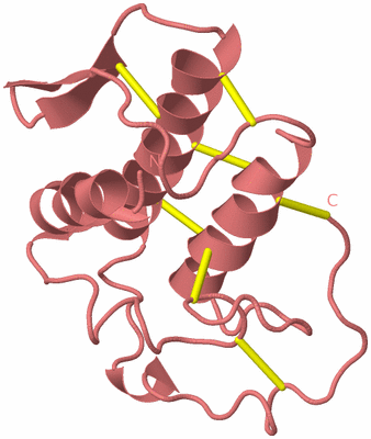 Image Biological Unit 8