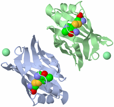 Image Asym./Biol. Unit