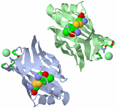 Image Asym./Biol. Unit - sites