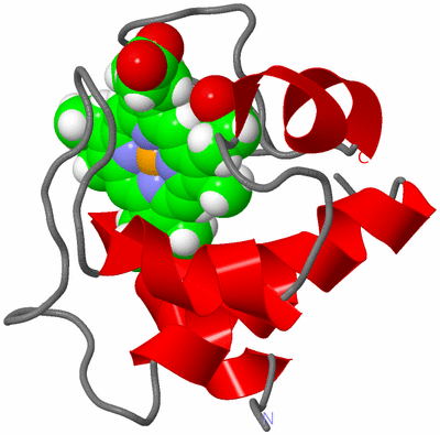 Image NMR Structure - model 1