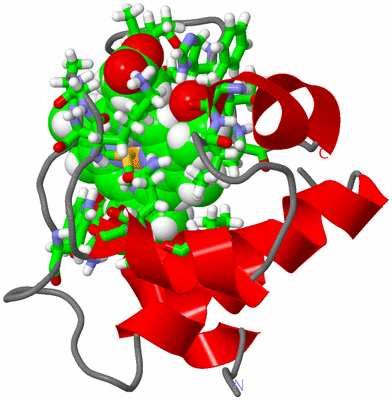 Image NMR Structure - model 1, sites