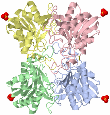 Image Asym./Biol. Unit