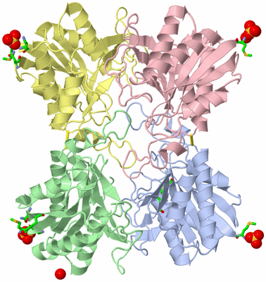 Image Asym./Biol. Unit - sites