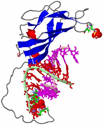 Image Asym. Unit - sites