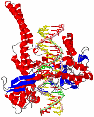 Image Asym./Biol. Unit