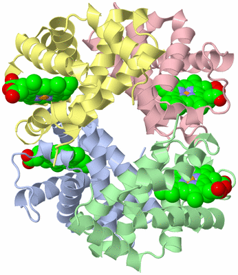 Image Asym./Biol. Unit