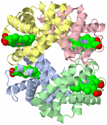 Image Asym./Biol. Unit