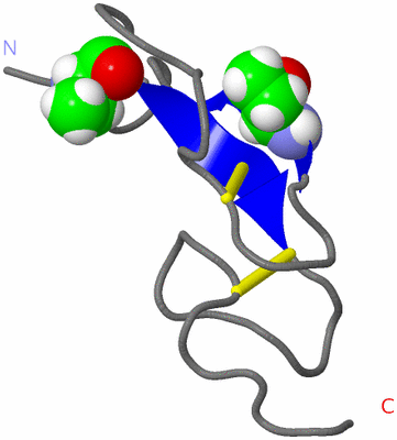 Image NMR Structure - model 1