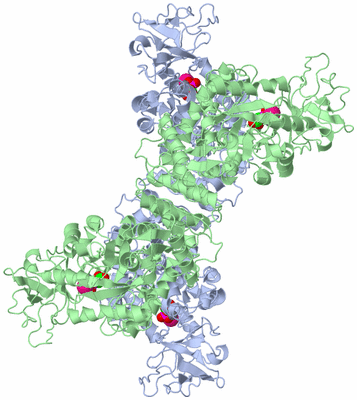 Image Biological Unit 1