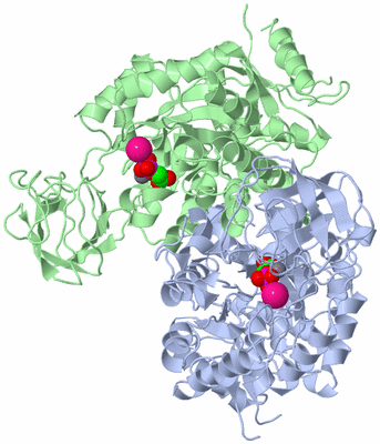 Image Biological Unit 2