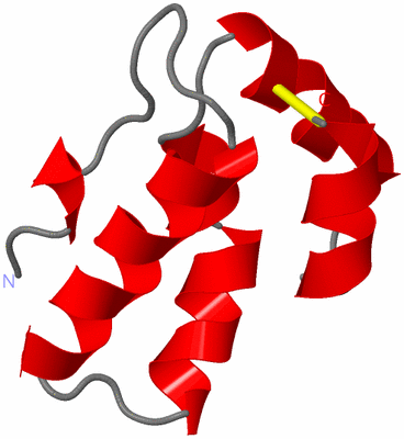 Image Asymmetric Unit