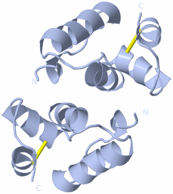 Image Biological Unit 1