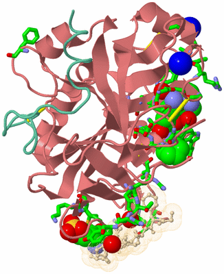 Image Asym./Biol. Unit - sites