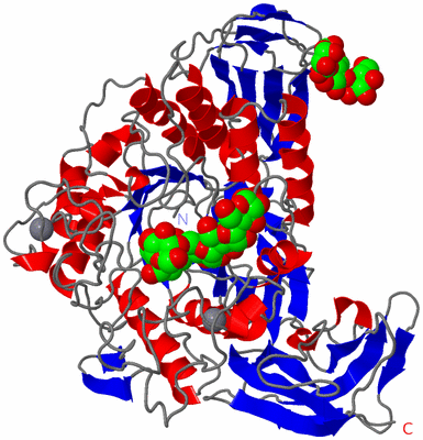 Image Asym./Biol. Unit