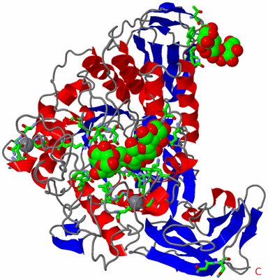 Image Asym./Biol. Unit - sites